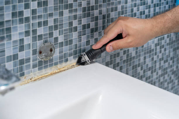 Best Professional Mold Removal  in Robstown, TX
